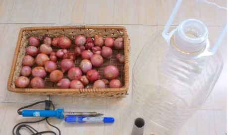 Ky thuat trong cay hanh la trong chai nhua tai nha an quanh nam - Anh 1