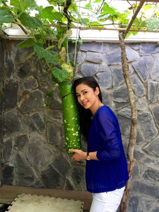 Tuyệt sắc giai nhân một thời showbiz Việt bây giờ ra sao? ảnh 16 Tuyệt sắc giai nhân một thời showbiz Việt bây giờ ra sao? ảnh 16