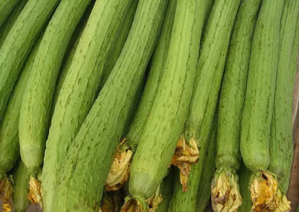 Công dụng chữa bệnh hiệu quả từ quả mướp