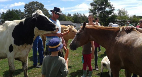 Phat hien bat ngo ve loai dong vat nguy hiem nhat doi voi con nguoi - Anh 1