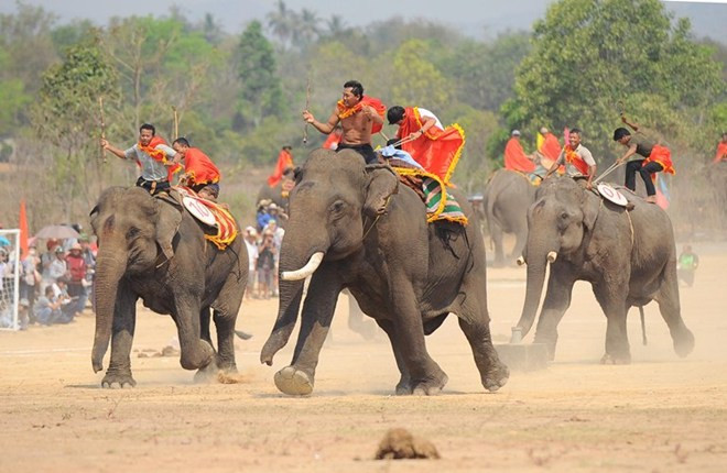 Đăk Lăk: Hội đua voi sẽ diễn ra từ ngày 12-14/3 tại xã Krông Na, huyện Buôn Đôn, tỉnh Đắk Lắk. Tháng 3 cũng là thời điểm tốt nhất để khám phá thiên nhiên, ẩm thực, văn hóa Tây Nguyên. Ảnh: Lamdong.gov.