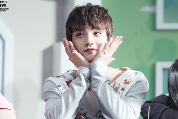 Seventeen là nhóm nhạc quy tụ nhiều chàng trai có ngoại hình ấn tượng. Vernon và Jung Han là hai gương mặt nhận được sự chú ý đặc biệt nhưng Joshua cũng có diện mạo thu hút không kém. 9-than-tuong-co-dung-mao-nhu-hoa-trong-boygroup-han-4