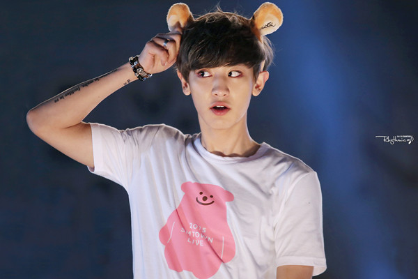 Các EXO-L luôn tranh cãi về việc thành viên nào là visual của nhóm vì các chàng trai có diện mạo khá đồng đều. Chan Yeol có lượng fan đông thuộc hàng top trong EXO, lượng follow trên Instagram là 6,2 triệu người. Anh chàng cao kều được yêu mến bởi ngoại hình sáng, lúm đồng tiền đáng yêu. 9-than-tuong-co-dung-mao-nhu-hoa-trong-boygroup-han