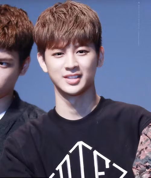 9-than-tuong-co-dung-mao-nhu-hoa-trong-boygroup-han-7