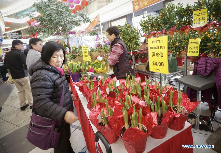 Tại một khu mua sắm tại Canada, người dân đang lựa chọn những món hàng để trưng ngày Tết. Tại một khu mua sắm tại Canada, người dân đang lựa chọn những món hàng để trưng ngày Tết.
