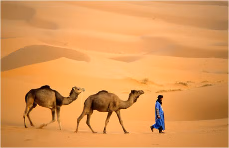 Do ban phan biet duoc hoang mac va sa mac khac nhau nhu the nao? - Anh 4