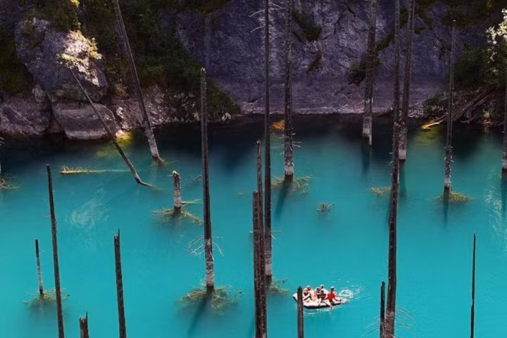 Những khu rừng lạ lùng nếu chưa 1 lần ghé thăm thì thật đáng tiếc