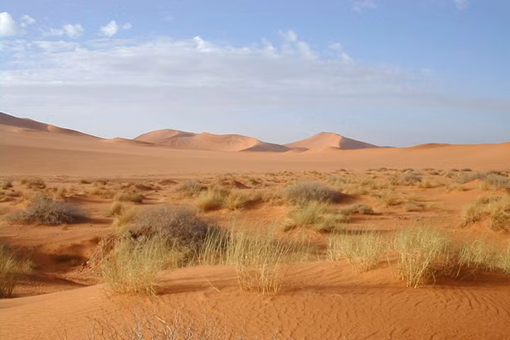 Đố bạn phân biệt được hoang mạc và sa mạc khác nhau như thế nào?
