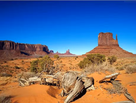 Do ban phan biet duoc hoang mac va sa mac khac nhau nhu the nao? - Anh 3