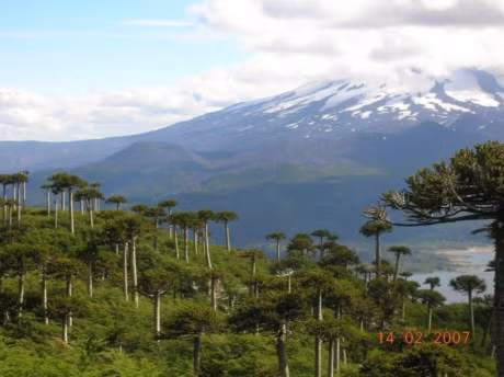 Nhung khu rung la lung neu chua 1 lan ghe tham thi that dang tiec - Anh 19