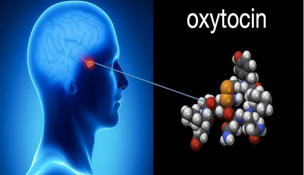 Sự thật ngã ngửa về nuôi con bằng sữa mẹ ảnh 5 Sự thật ngã ngửa về nuôi con bằng sữa mẹ ảnh 5