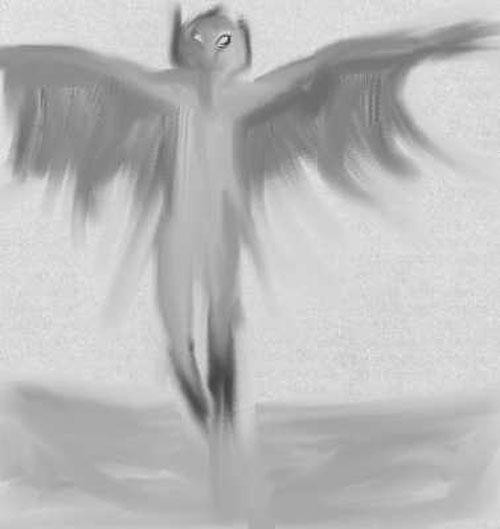 Hình ảnh người cú Hình ảnh người cú