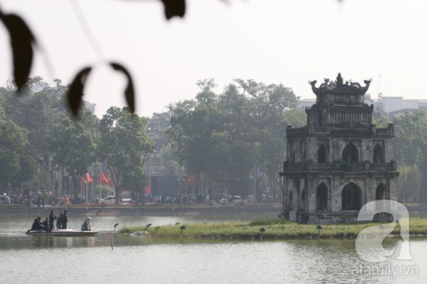 Khoảng 11 giờ trưa, "cụ" rùa bất ngờ nổi lên và nằm phơi nắng dưới thảm cỏ.