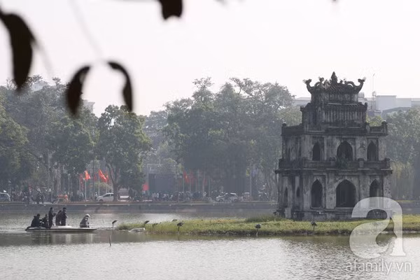 Khoảng 11 giờ trưa, "cụ" rùa bất ngờ nổi lên và nằm phơi nắng dưới thảm cỏ.