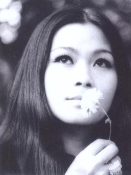 Những sao Việt qua ba lần đò