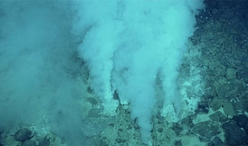 10 điều ngạc nhiên về đại dương mà bạn không hề biết - Ảnh 10