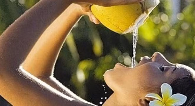Dừa là một trong nhiều loại nước uống giải khát thông dụng.
