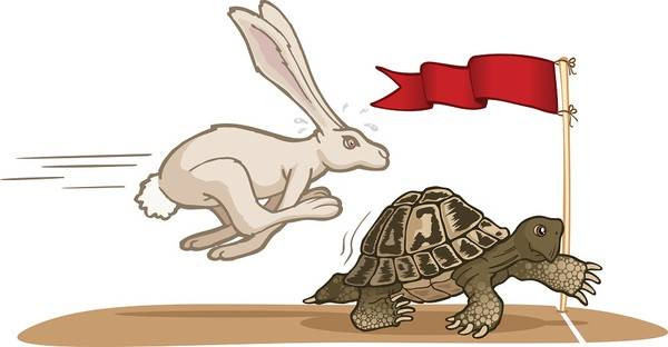 Truyện ngụ ngôn Rùa và Thỏ: liệu rùa có thể chiến thắng ở ngoài đời thực? ảnh 2 Truyện ngụ ngôn Rùa và Thỏ: liệu rùa có thể chiến thắng ở ngoài đời thực? ảnh 2