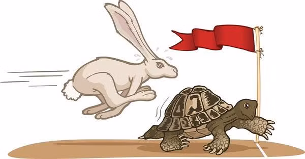 Truyện ngụ ngôn Rùa và Thỏ: liệu rùa có thể chiến thắng ở ngoài đời thực? ảnh 2