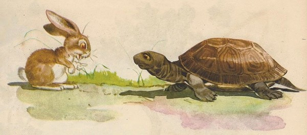 Truyện ngụ ngôn Rùa và Thỏ: liệu rùa có thể chiến thắng ở ngoài đời thực? ảnh 5 Truyện ngụ ngôn Rùa và Thỏ: liệu rùa có thể chiến thắng ở ngoài đời thực? ảnh 5