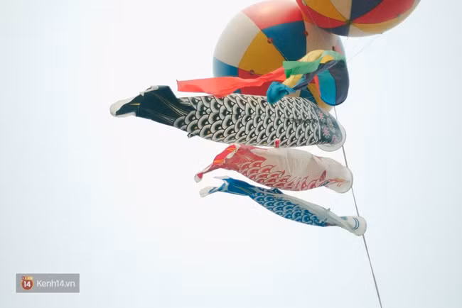 Cuối tuần này, các bạn trẻ Hà Nội lại rủ nhau tới Lễ hội hoa anh đào - Ảnh 11.