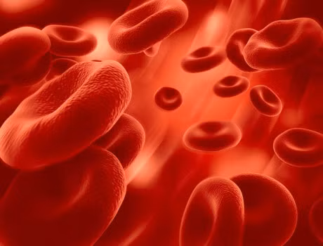 Can benh nao can nhieu mau nhat? - Anh 2