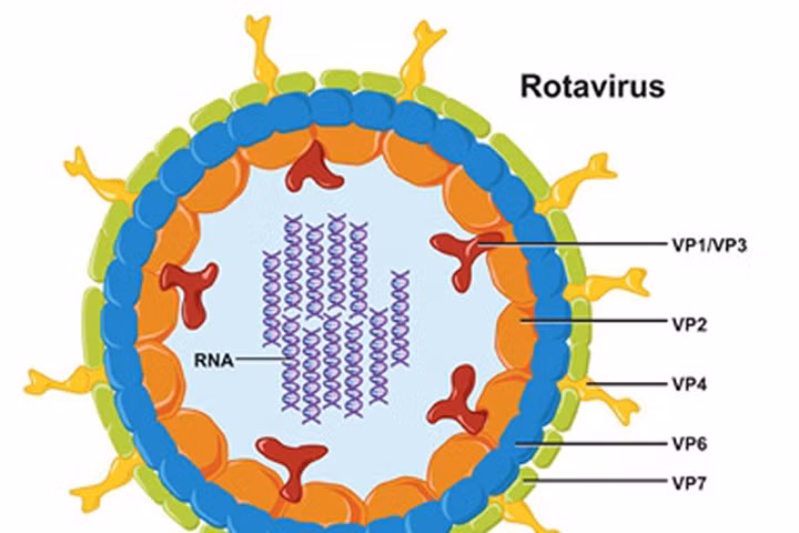 Dùng thuốc cầm tiêu chảy do Rotavirus cho trẻ - Nguy hiểm!