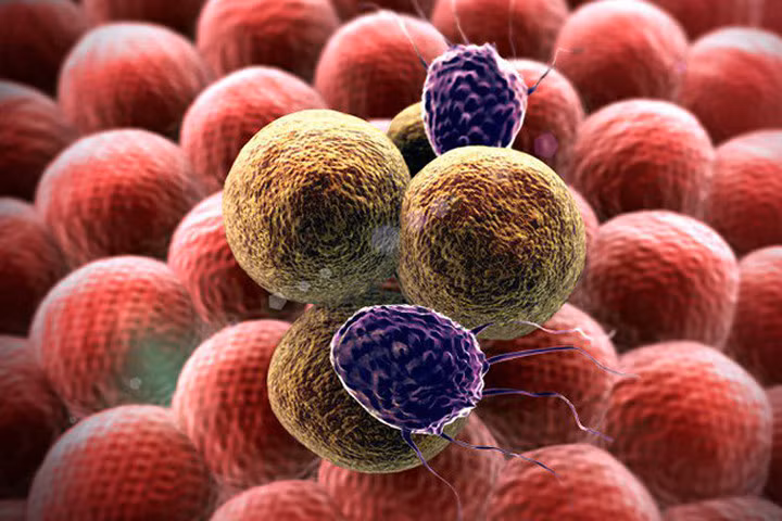 Bác sĩ bệnh viện Việt Đức khuyên 6 điều nên làm ngay để bệnh ung thư không gõ cửa