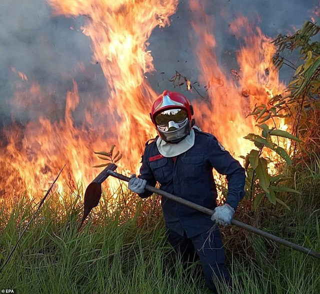 Một lính cứu hỏa chống lại đám cháy rừng Amazon.