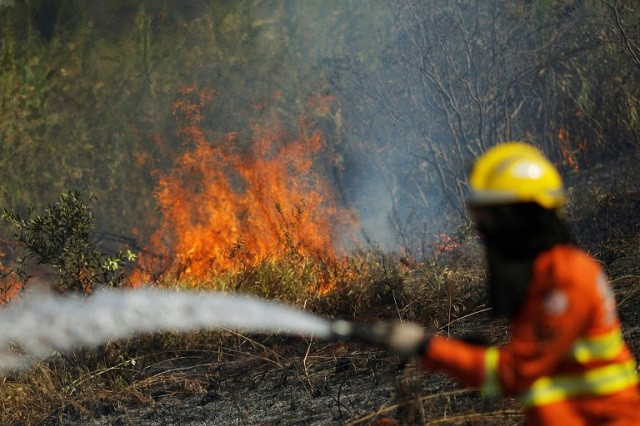 Một lính cứu hỏa cố gắng dập tắt ngọn lửa trong mùa khô ở Brasilia, Brazil. (Ảnh: Reuters)