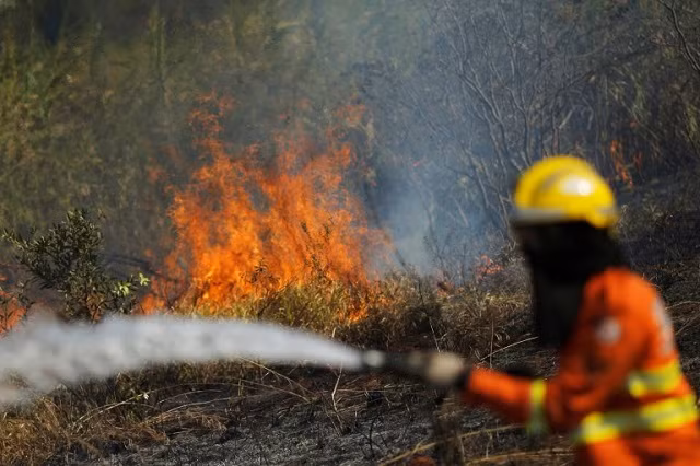 Một lính cứu hỏa cố gắng dập tắt ngọn lửa trong mùa khô ở Brasilia, Brazil. (Ảnh: Reuters)