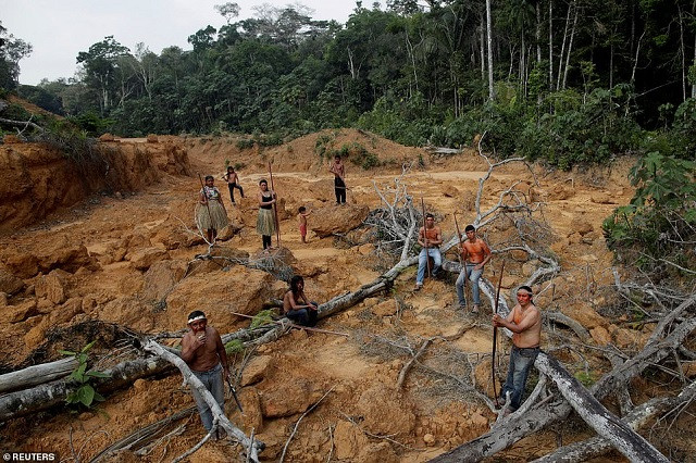 Người dân bản địa tại một khu vực đã bị phá rừng thuộc Amazon.