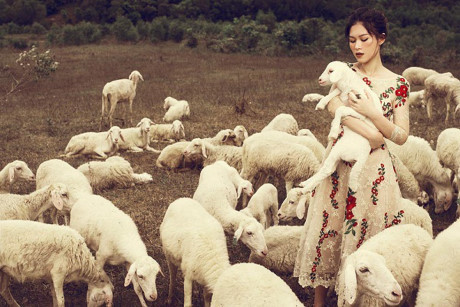 Ngọc Thanh Tâm hóa cô gái du mục đầy mê hoặc - Ảnh 2 Ngoc Thanh Tam hoa co gai du muc day me hoac - Anh 2