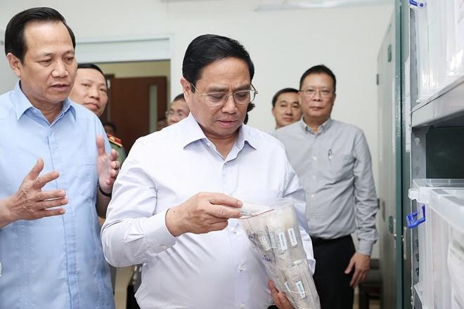 (Ảnh: Dương Giang/TTXVN). (Ảnh: Dương Giang/TTXVN).
