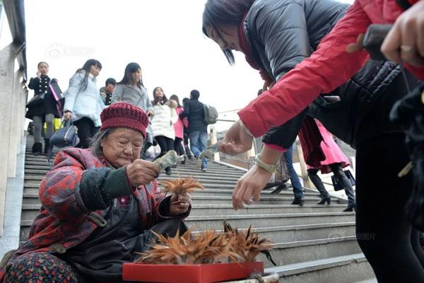 Nghẹn ngào mẹ già 86 tuổi bán cầu lông gà cứu con trai