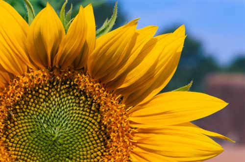 9 bí ẩn thú vị khoa học không thể giải thích ảnh 4 - 4