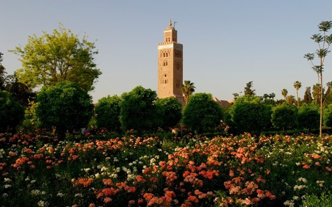 Thung lũng hoa hồng rực rỡ này nằm giữa sa mạc ở Ma rốc, ước tính có tới 100.000 bông hồng đang bung nở khoe sắc vào mùa xuân. Số hoa này sau đó sẽ được chọn lọc và sấy khô để làm các thành phẩm khác nhau như tinh dầu, hay nước hoa hồng. Thung lũng hoa hồng rực rỡ này nằm giữa sa mạc ở Ma rốc, ước tính có tới 100.000 bông hồng đang bung nở khoe sắc vào mùa xuân. Số hoa này sau đó sẽ được chọn lọc và sấy khô để làm các thành phẩm khác nhau như tinh dầu, hay nước hoa hồng.