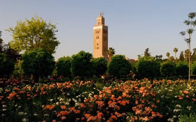 Thung lũng hoa hồng rực rỡ này nằm giữa sa mạc ở Ma rốc, ước tính có tới 100.000 bông hồng đang bung nở khoe sắc vào mùa xuân. Số hoa này sau đó sẽ được chọn lọc và sấy khô để làm các thành phẩm khác nhau như tinh dầu, hay nước hoa hồng.