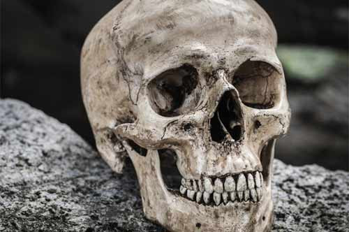 9 bí ẩn thú vị khoa học không thể giải thích ảnh 8 - 8