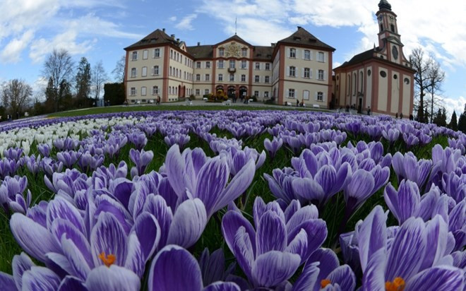 Nằm cách thành phố Konstanz, miền nam nước Đức khoảng 30 phút đi thuyền, Mainau còn có tên gọi đảo hoa, là một công viên tự nhiên độc nhất vô nhị trên thế giới. Mainau trải dài trên khu vực rộng 45ha, cuối thế kỷ XIX, đại công tước xứ BadenFrederick I đã mua hòn đảo và trồng nhiều loại cây và hoa. Tuy nhiên, người cháu trai của ông - Lennart Bernadotte mới chính là người biến hòn đảo thành một thiên đường hoa lộng lẫy. Mùa xuân chính là thời điểm tuyệt vời để du khách ngắm nhìn trăm hoa đua sắc ở Mainau dù cho thời tiết không thực sự chiều lòng người. Nằm cách thành phố Konstanz, miền nam nước Đức khoảng 30 phút đi thuyền, Mainau còn có tên gọi đảo hoa, là một công viên tự nhiên độc nhất vô nhị trên thế giới. Mainau trải dài trên khu vực rộng 45ha, cuối thế kỷ XIX, đại công tước xứ BadenFrederick I đã mua hòn đảo và trồng nhiều loại cây và hoa. Tuy nhiên, người cháu trai của ông - Lennart Bernadotte mới chính là người biến hòn đảo thành một thiên đường hoa lộng lẫy. Mùa xuân chính là thời điểm tuyệt vời để du khách ngắm nhìn trăm hoa đua sắc ở Mainau dù cho thời tiết không thực sự chiều lòng người.