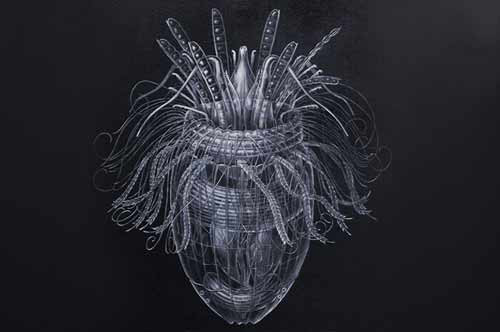 9 bí ẩn thú vị khoa học không thể giải thích ảnh 9 - 9