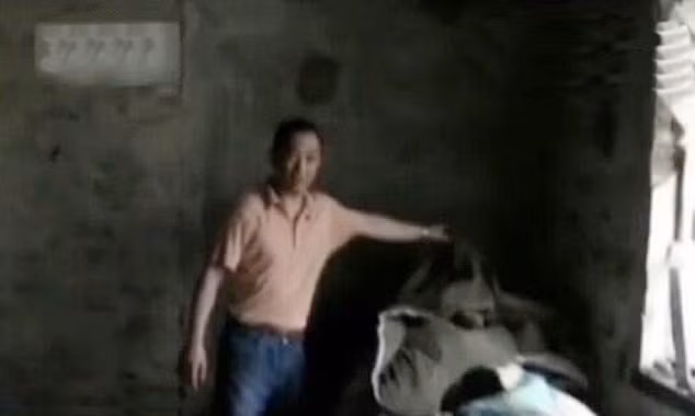 Bên trong 