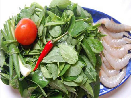 3 tác dụng phụ đáng sợ của rau ngót cần phải biết trước khi ăn - Ảnh 1 3 tac dung phu dang so cua rau ngot can phai biet truoc khi an - Anh 1