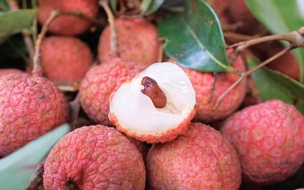 Cách chọn vải thiều Thanh Hà xịn theo tiêu chuẩn VIETGAP ảnh 2