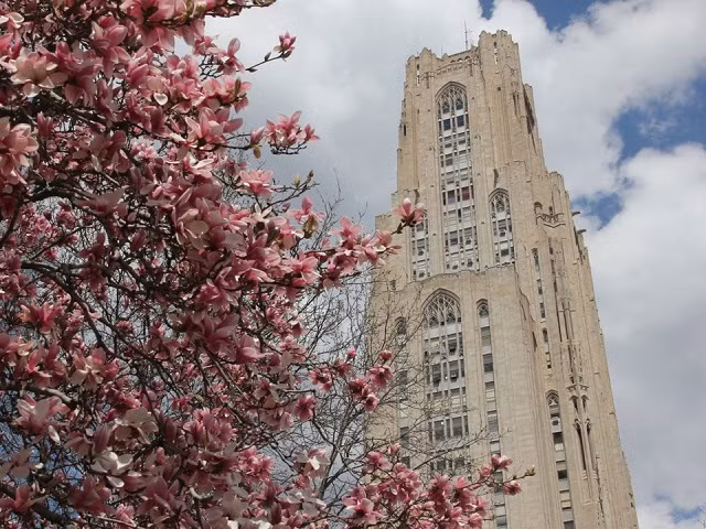 17. Đại học Pittsburgh: 149.157 USD