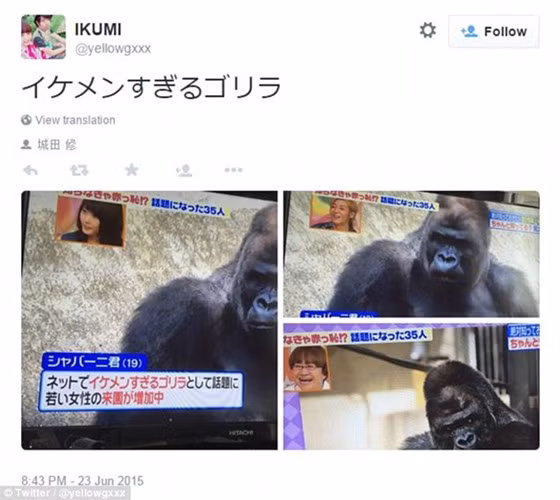 can canh chu khi “dep trai” khien dan nhat ban 