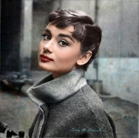 Những chuyện chưa kể về nữ minh tinh Audrey Hepburn - Ảnh 8 Nhung chuyen chua ke ve nu minh tinh Audrey Hepburn - Anh 8