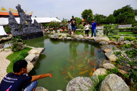 Bất ngờ đàn cá đặt tên Hoài Linh, Trấn Thành, Mr Đàm - Ảnh 2 Bat ngo dan ca dat ten Hoai Linh, Tran Thanh, Mr Dam - Anh 2