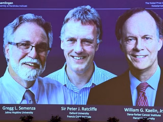 3 nhà khoa học được vinh danh đoạt giải Nobel y học 2019.