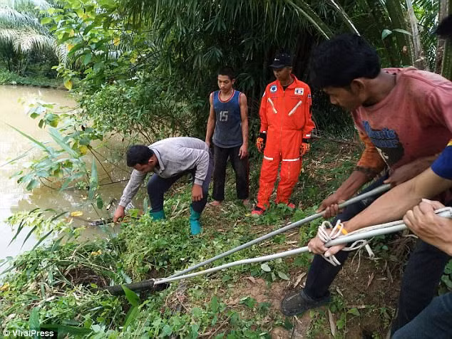 Nhân viên cứu hộ động vật đến ứng cứu